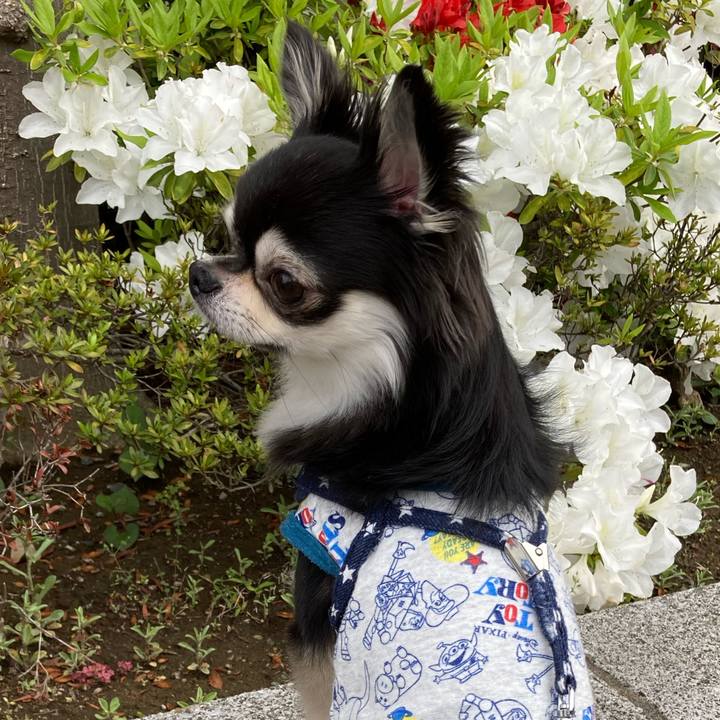 426a7257 16e5 4d25 af0d 6a2df33e857f 1650719125504