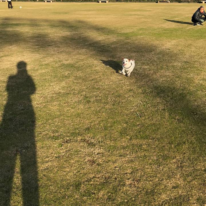 426acd12 d2cf 43a5 8c37 9c29e4fc17c6 1511615958932