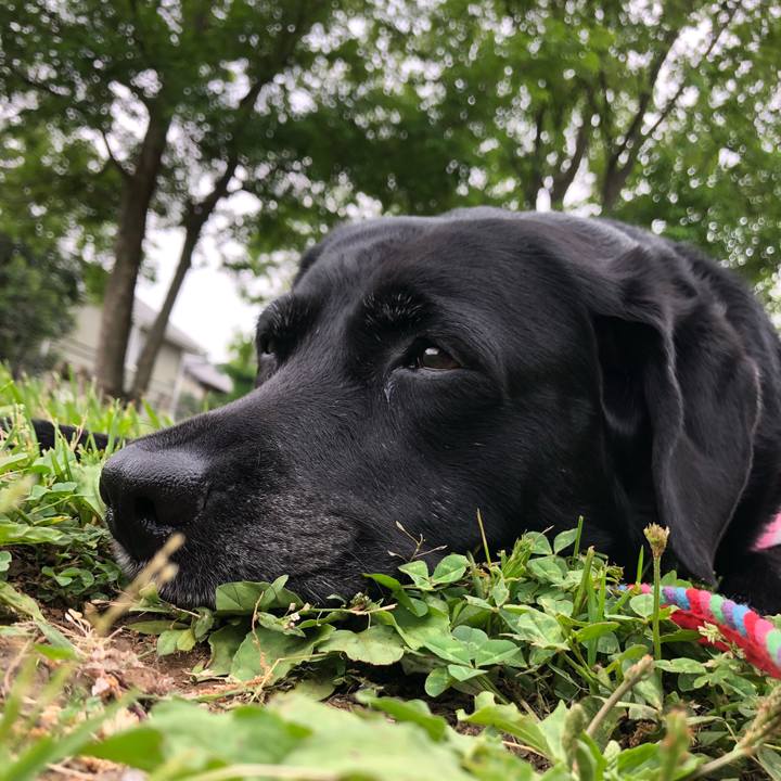 426aedc7 3973 4070 9010 54642316cf11 1524466175093