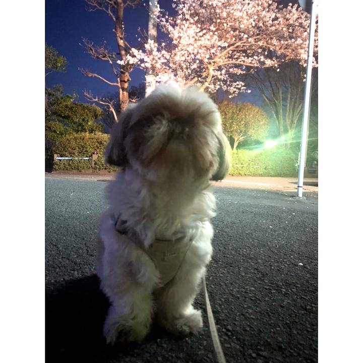 426af1e5 a873 4b01 8a45 1ac9d7c678ec 1649301825112