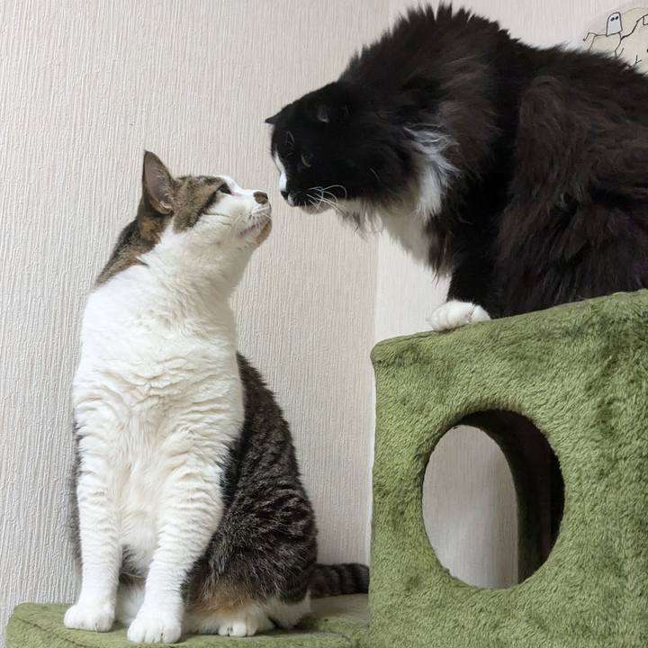 426b5cc2 25b3 41f5 a638 75eac8e90294 1724632653536