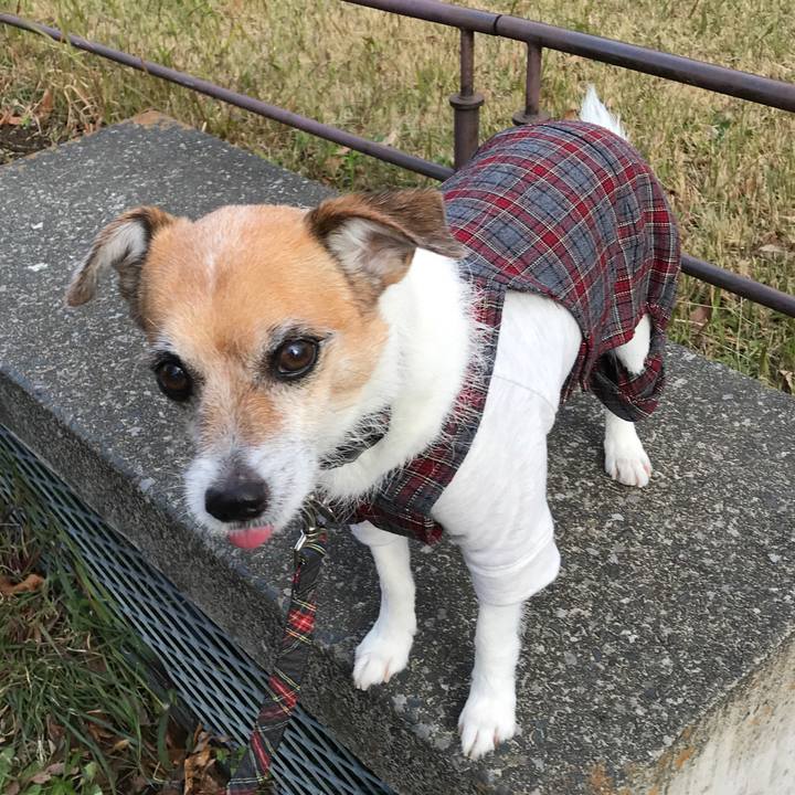 426b5ef1 c52f 4496 b09e 434fa07fbd63 1575188514064