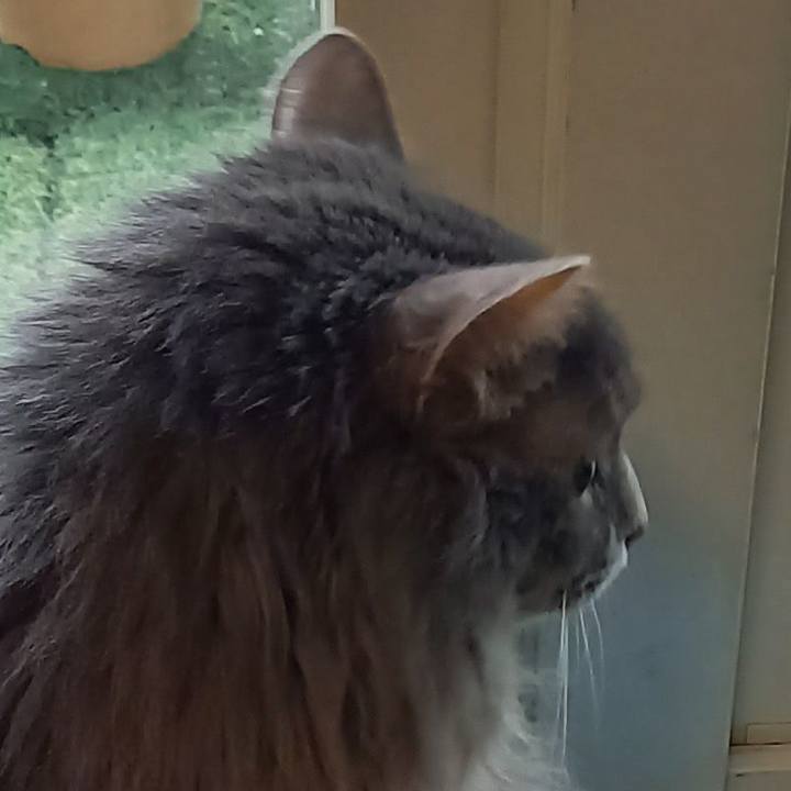 426be720 63d7 4cd1 9e84 0d6d1b9cbacb 1645878330725