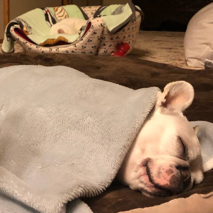 426c14fd 702a 4cd6 8bd1 c899a53ac63f 1551104624777