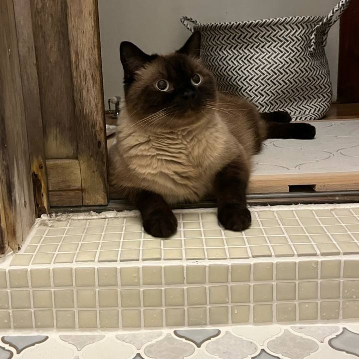 426c2f44 0286 4582 bed8 8c9b1977d3ff 1722599229188