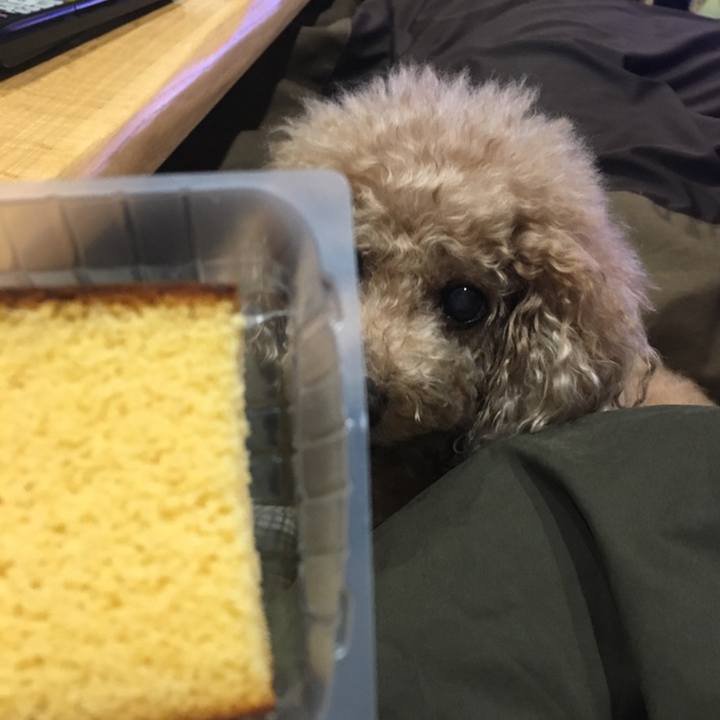 426c3c38 a685 4b7b 83e8 ce5ae44f0cac 1581425698643