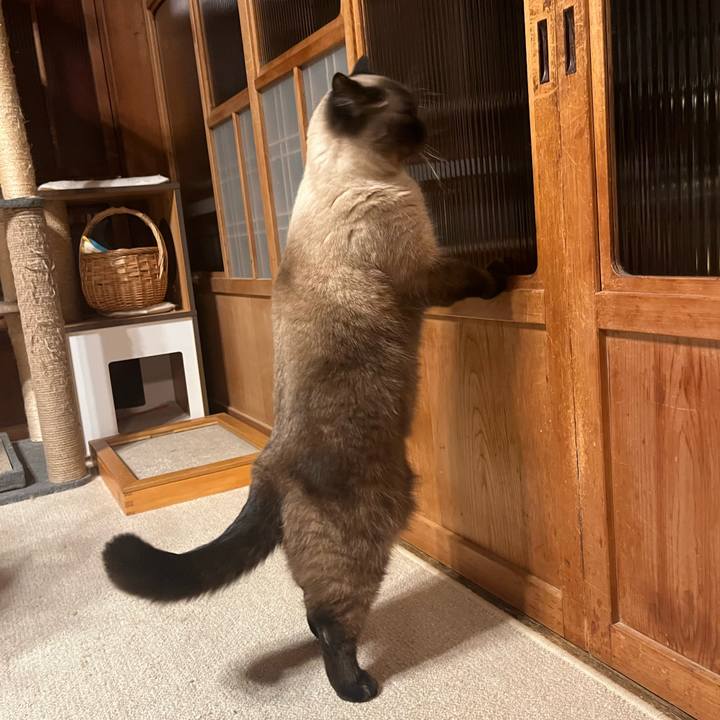 426c5899 ac8f 427f a9b7 05ba00fbeacf 1674951497503