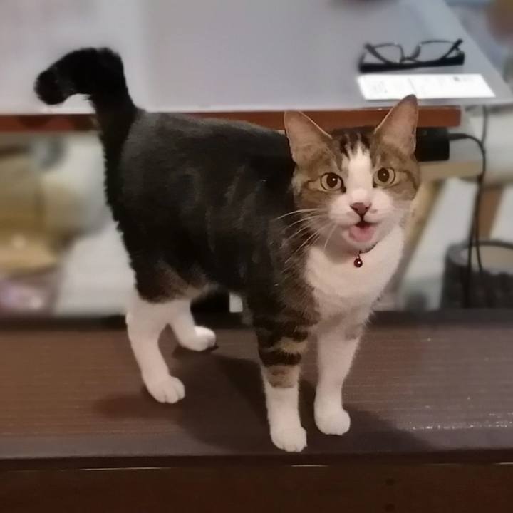 426c7d46 a204 4798 ba4f 190910280845 1585906683083