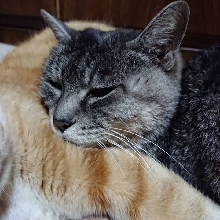 426c8aae d0b8 494a b4a0 9c9cc347bcf2 1577710453896