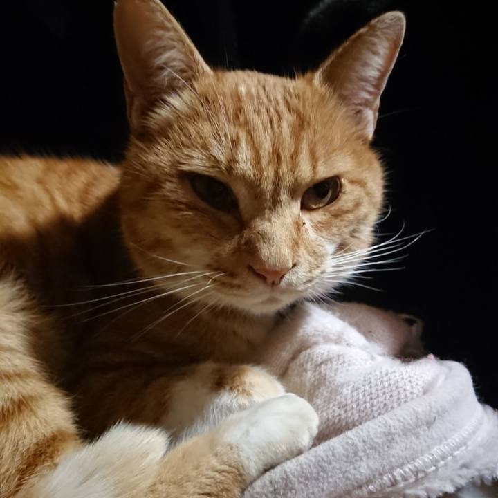 426c8c4b 00dd 40e7 ad09 4eddf4b99eff 1605355377024