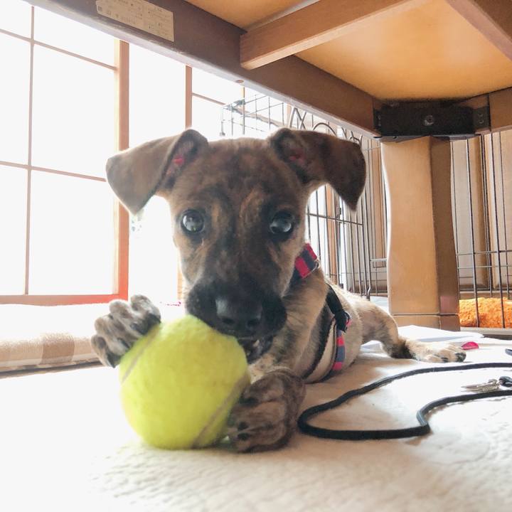 426c8f3e eefd 4119 963f e06e2d097704 1567673175332