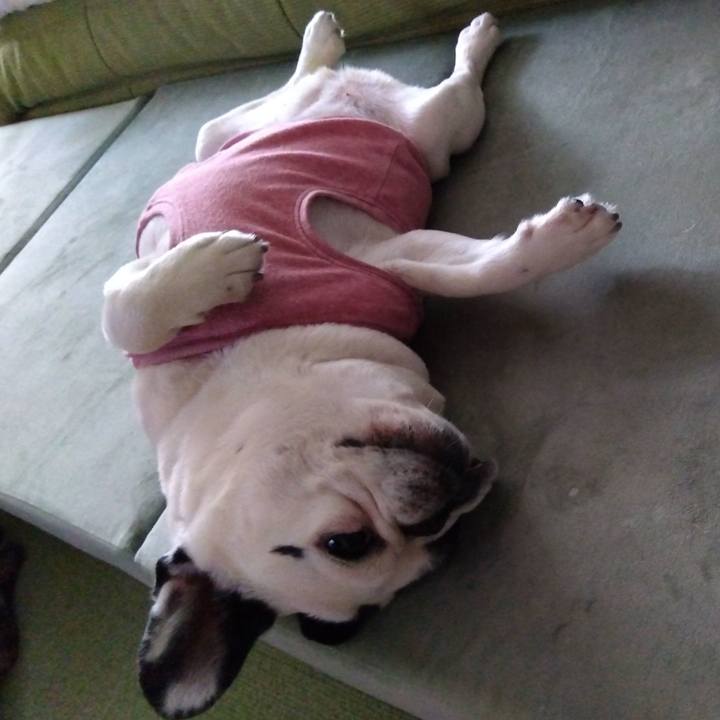 426cd722 1f06 46e4 95a5 1b400813645b 1718864913763