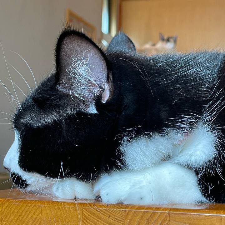 426ce709 ca92 421c b3b5 f44df5b16115 1664415605084