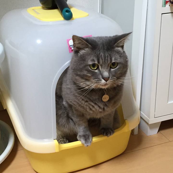 426ce97e 5e82 4c9f bdf9 6f030bd11f93 1605401845106