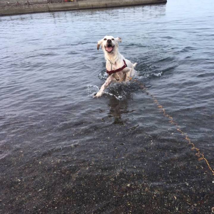 426cf1f7 daab 4030 8a24 f91f96ea7d46 1768531128769