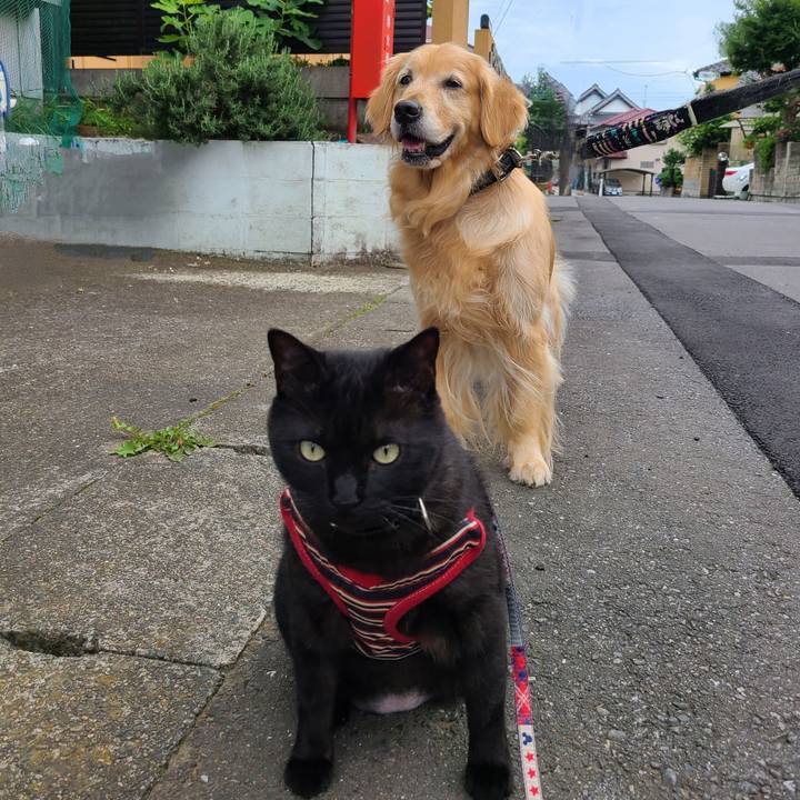 426d2035 9817 41a0 a66d 864c34b2fc20 1685867586160