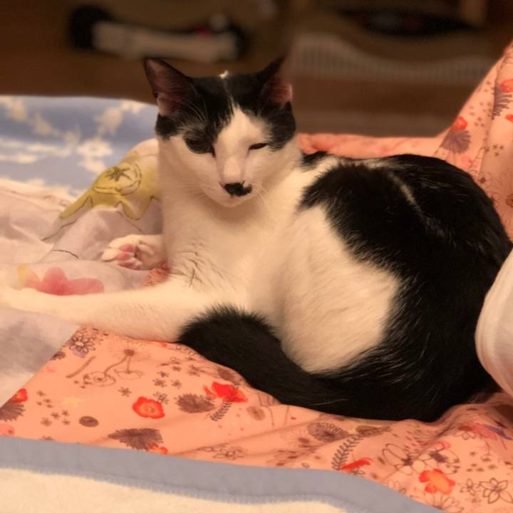 426d3191 d36d 451e bd54 fe049ffc44da 1537960226616