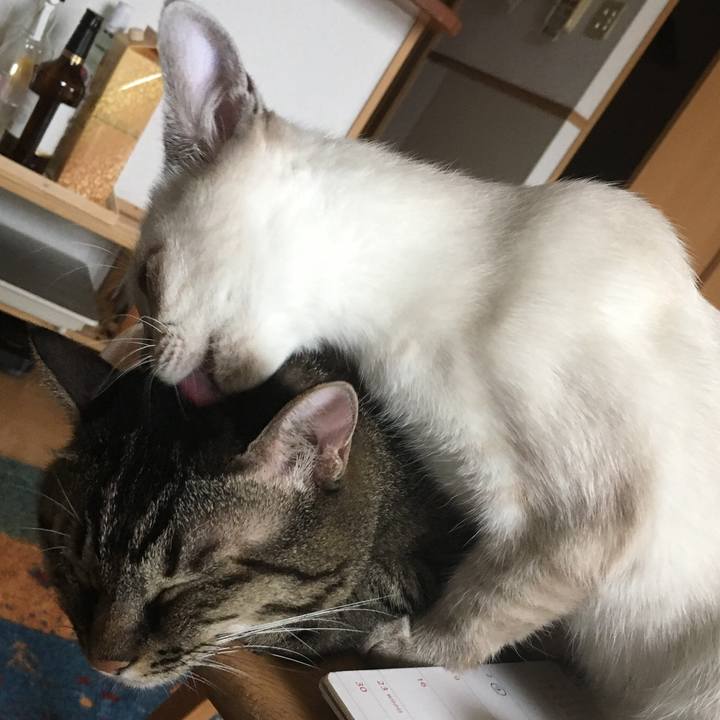 426d33de 5381 4f00 bb12 29b92fdbbdf9 1536213969613