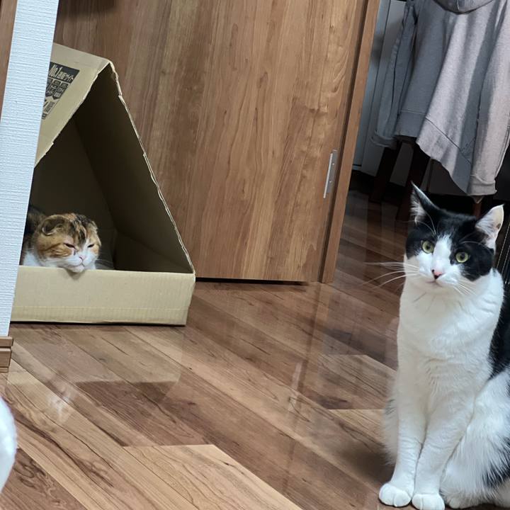 426d3514 3eb6 4ce0 983c 8cec235cc1bc 1683732285368