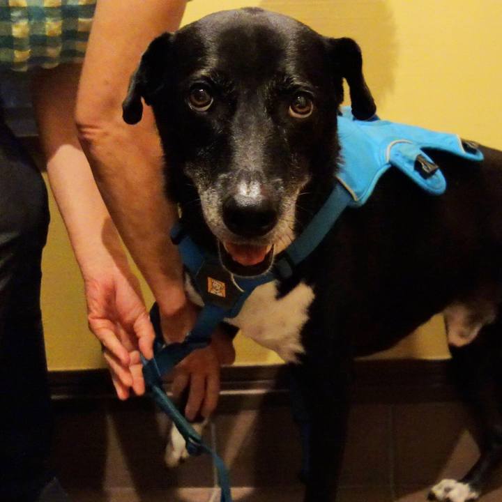 426d4fb3 ca70 4a55 bb83 1f6c4d97cec7 1724929312661