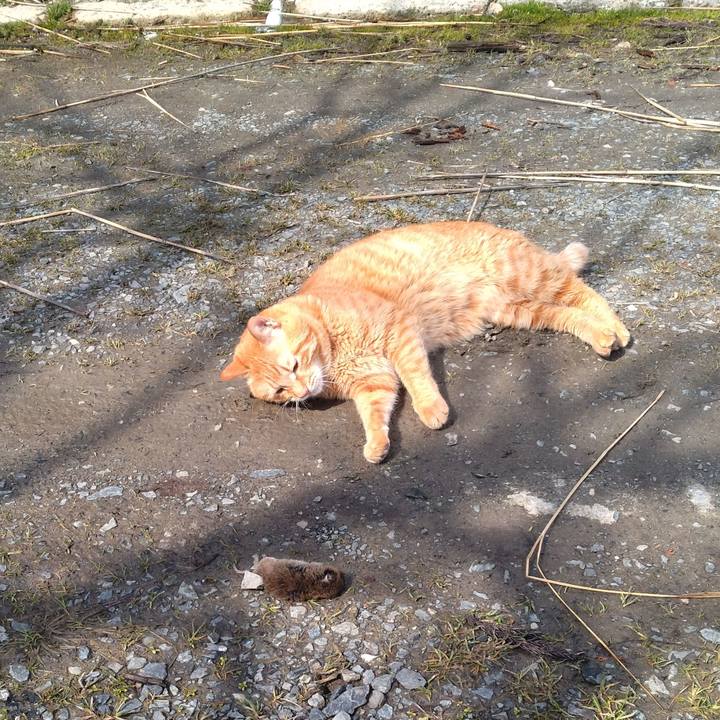 426d57a3 9bc5 496c b79e f878e1d91493 1710822760702