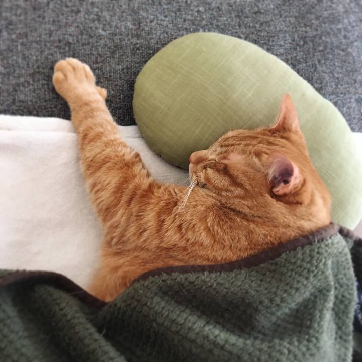 426d7940 22f2 4003 be96 945af46c040d 1615513898496