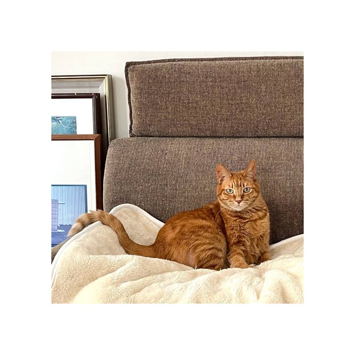 426df090 1ac3 4b94 aa51 893db5e1aa1d 1677807114952