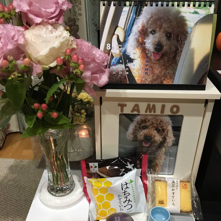 426df329 510a 4adb bc54 33a7c2c30d6e 1564749720425