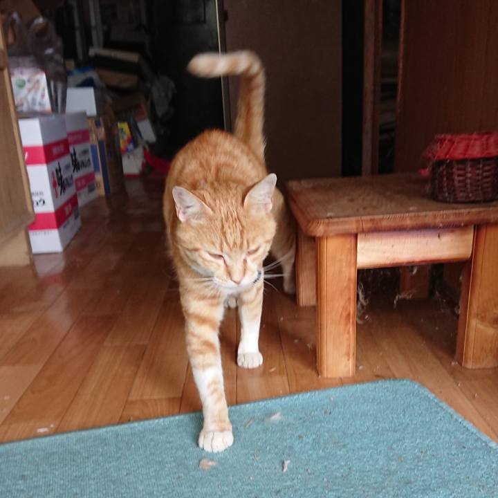 426e0cbd 44dd 4fce 96c8 66de8840ca80 1562398790244