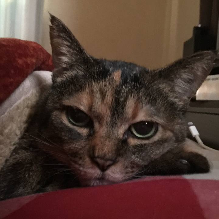 426e89f9 31b6 4cb0 b56e 7ca3dd1f6c7f 1706357897846