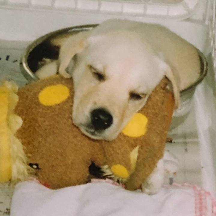 426eae27 0cee 4283 b677 2db3fd990434 1573443394235