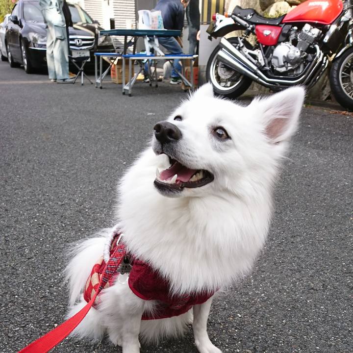 426ef336 ca0a 4496 808f 2c9c0424bc9c 1514599405870