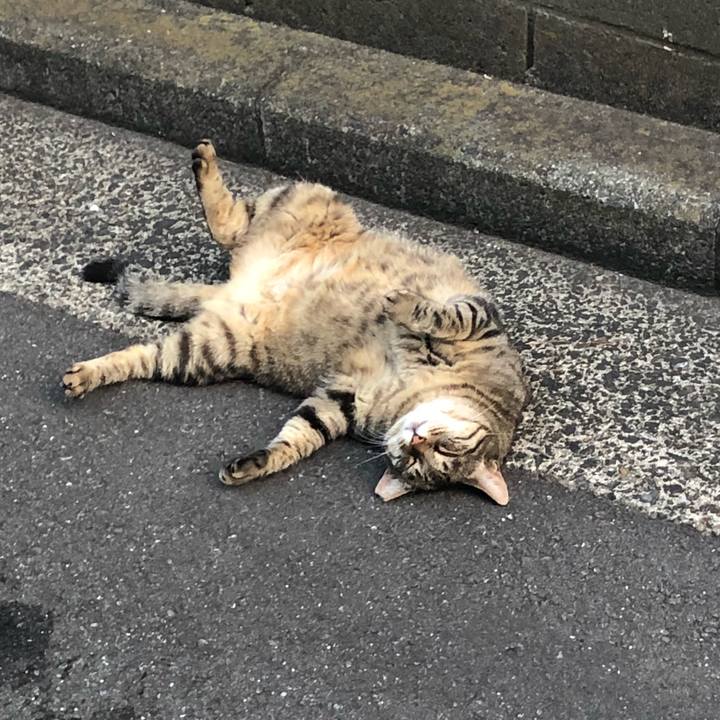 426f02a3 fec2 4e79 a21a 6cc1f01aec1e 1532001373340