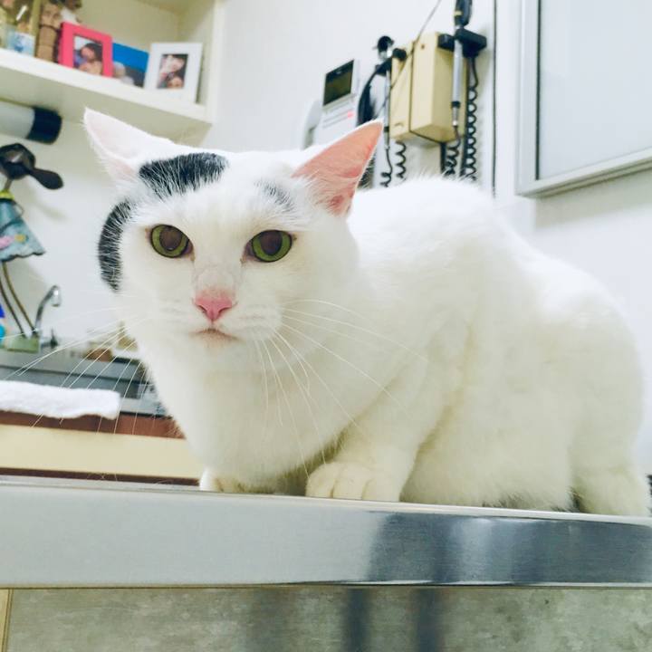 426f1939 5b70 460e b2f2 ef65eb466afe 1568380402811