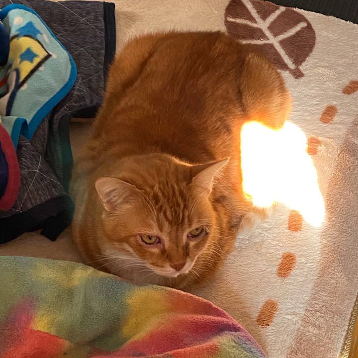 426f3cb3 f1ed 427b b889 1fc260e78d29 1576458241695