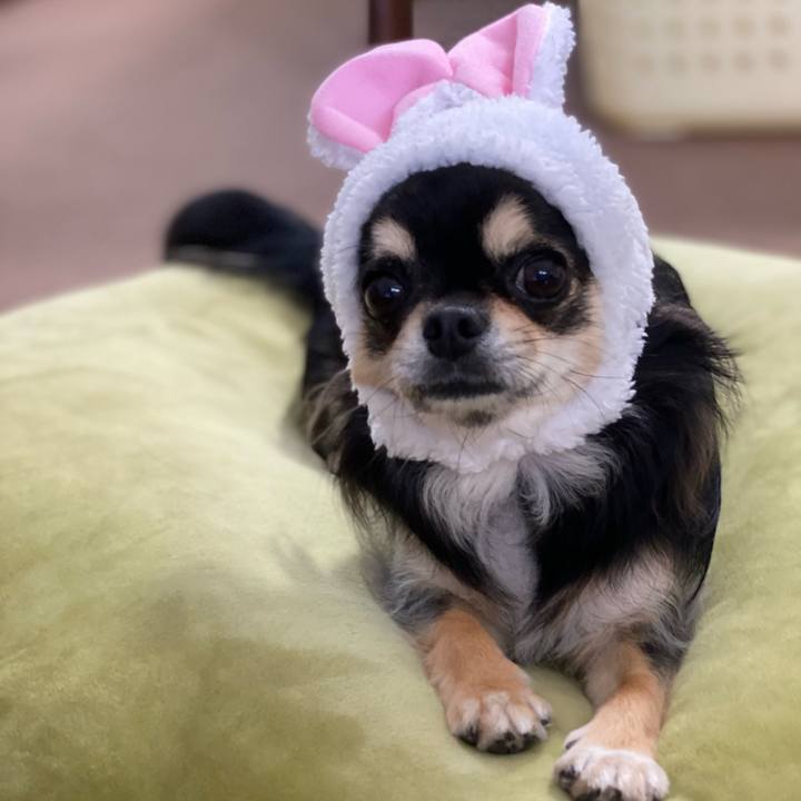 426f42ae 2c99 4cc2 a9cd 346e69c87516 1601512280453