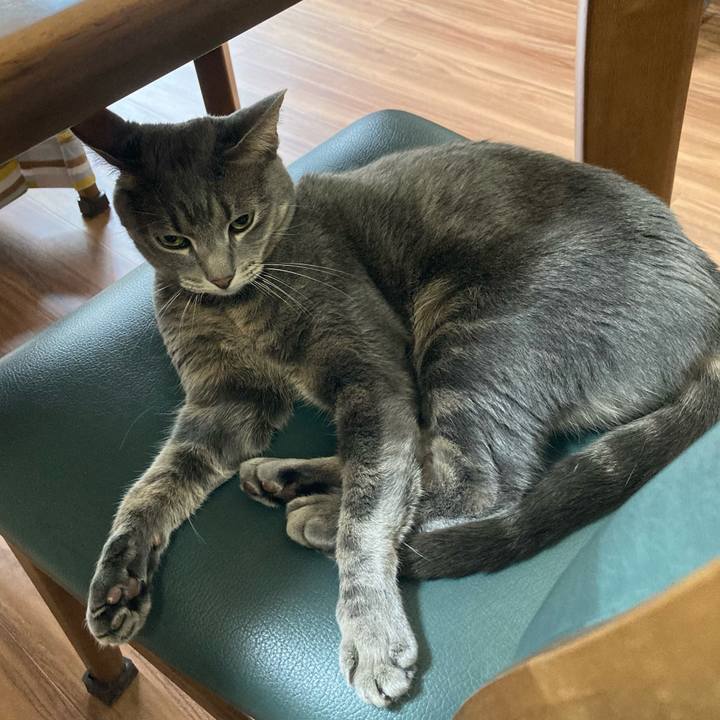 426f5f0f 007d 4f24 8e0e 794c2aa7b8a9 1635323839383