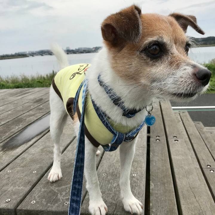 426f658a 7ae6 40d6 83d6 16f31e5d01f1 1600669250106