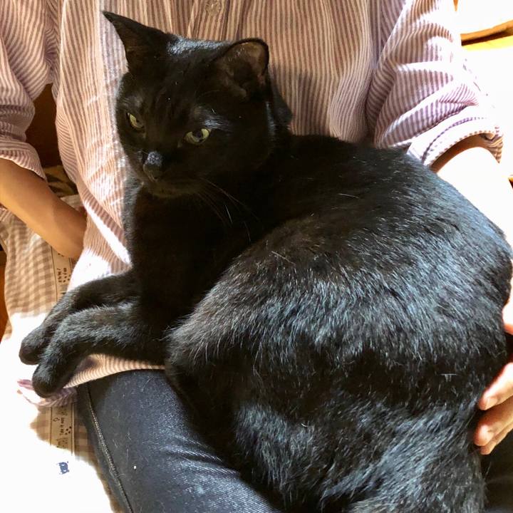 426f68bd 4db7 433f 92be 7056f1ce915c 1534428806666