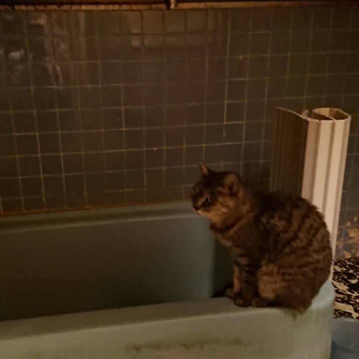 426f6b2c f7d3 4a68 95d2 7a07596e6da1 1573203351715