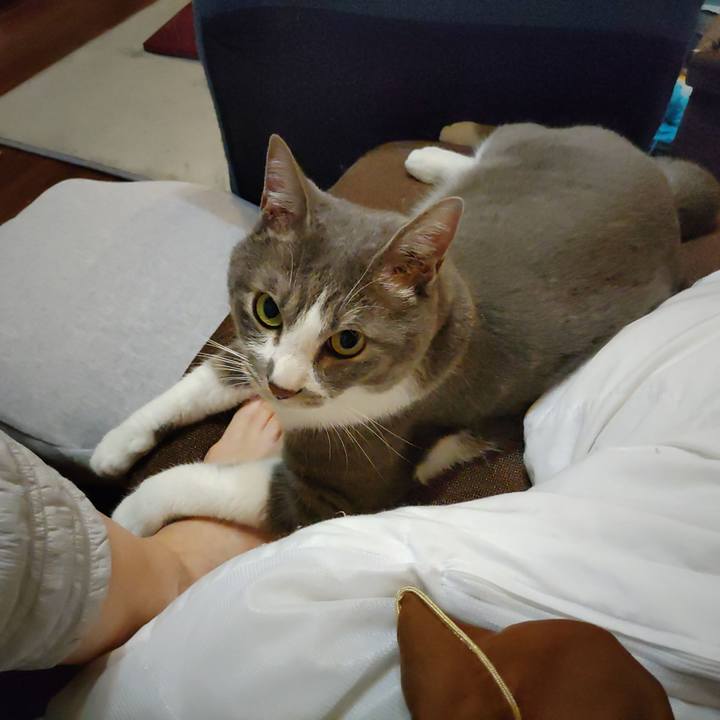 426f8b0b 5cfd 4371 b4b3 ca7af8d14af4 1653316394178