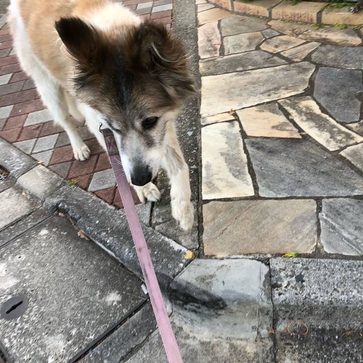 426f922e 6d9e 4b78 81c1 8d84d8f7433f 1527246406137