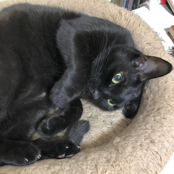 426f9eac 78f0 47ba 96e8 a7067e9b4e07 1626102735038