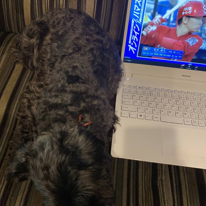 426fb40e 334f 4d12 9036 83824ad31601 1595667790713