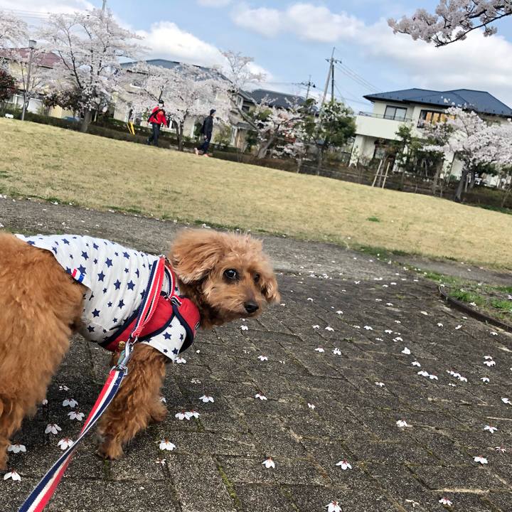 426fcb6a ca7e 40cf 93d3 fee623fbdbf6 1617418077359