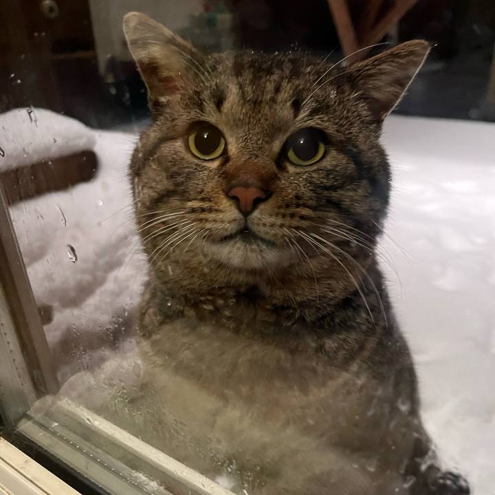 42700667 9a4b 4f51 8a2d c174c8735d10 1743707720588