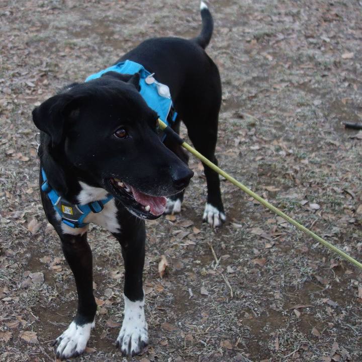 42700c7b 26be 4c30 b21c 9b0f27af15dd 1610236855142