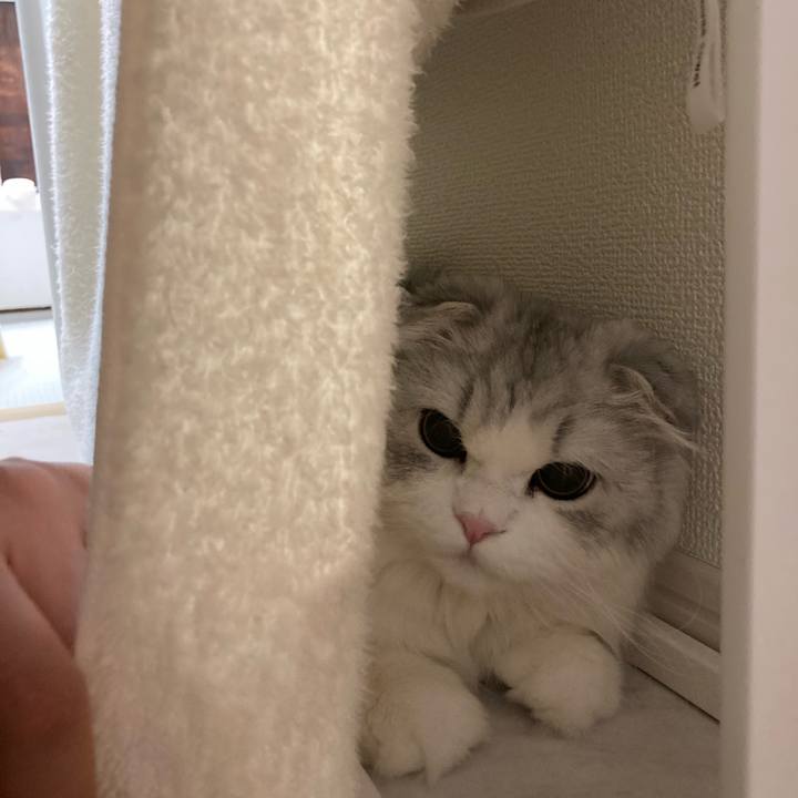 42703e75 fe19 4d80 a283 f402b46d5aa8 1621638426895