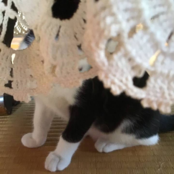 42704916 77b2 417b b58e f9f5fffb9048 1627364266563