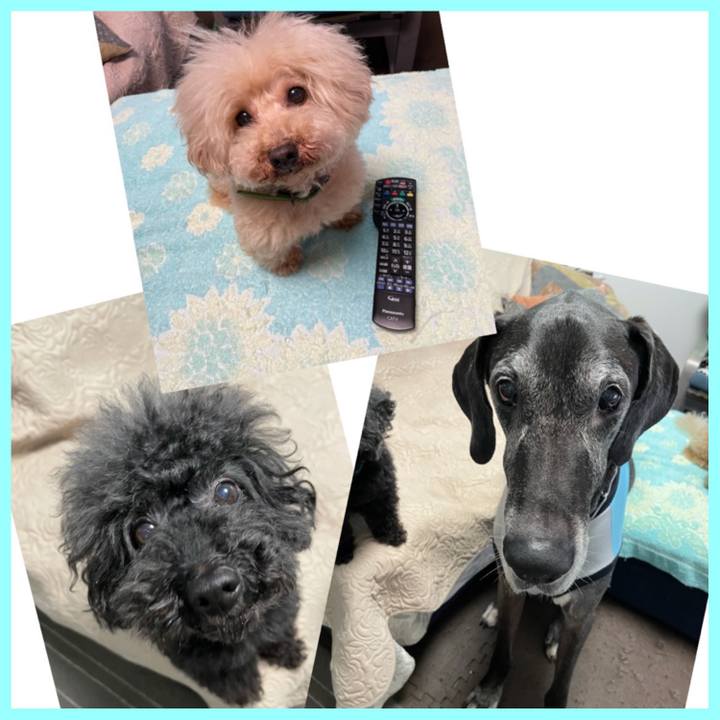 42704f1f a068 41df 8fcb 4cbdc868336e 1626215358581